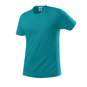 T-shirt homme à personnaliser Retail coton BIO – 6 couleurs